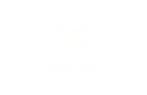 Dor Alon
